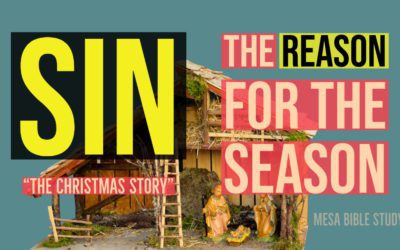 Sin is the Reason for the Season “Christmas”