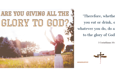 A Great Biblical Litmus Test for the Believer’s Daily Walk