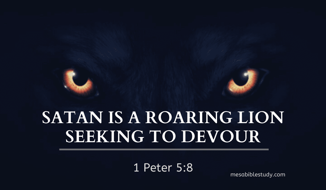 Be Steadfast and Alert Because Satan Seeks to Destroy You and the Church