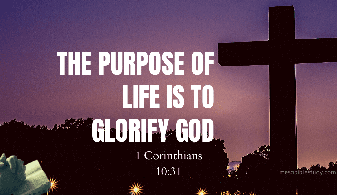 The Chief End of Man is to Glorify God