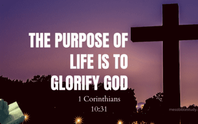 The Chief End of Man is to Glorify God