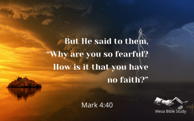 Why Are You So Fearful? How is that You have No Faith?
