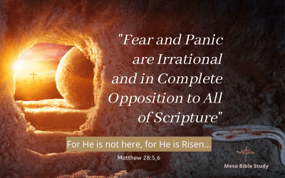 Fear and Panic are Irrational and In Complete Opposition to the Christian Life