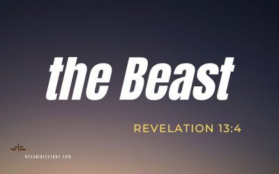 Black Lives Matter, The Democratic Party and Antifa are ‘Proxies’ for the Coming Beast and His ‘Beast System’