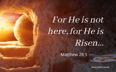 Resurrection Day! – ‘He shall see of the travail of His soul, and be satisfied’ Why?