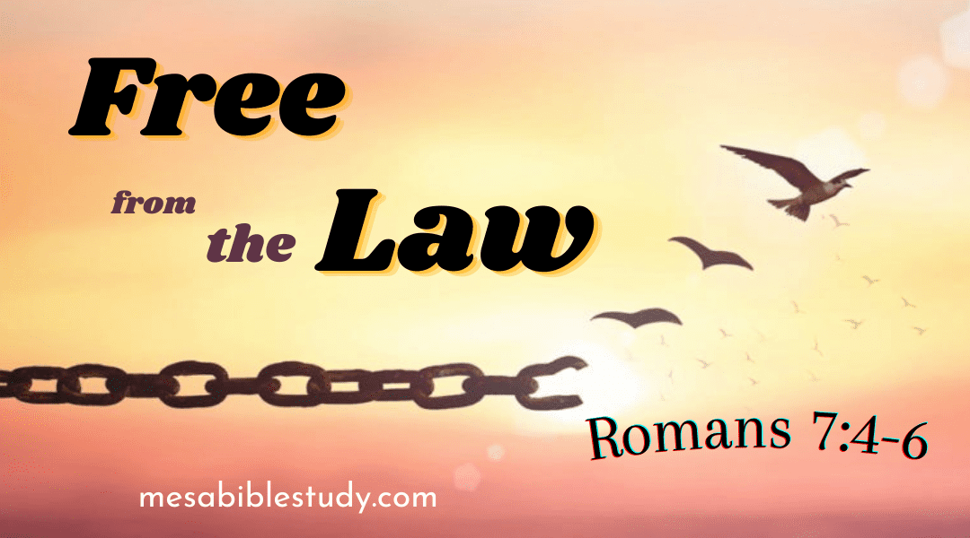 Believers Have Been Delivered from the Condemnation of the Law