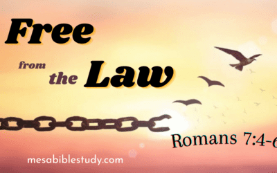 Believers Have Been Delivered from the Condemnation of the Law