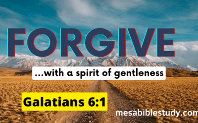 How to Deal with a Fellow Believer that Falls into Sin