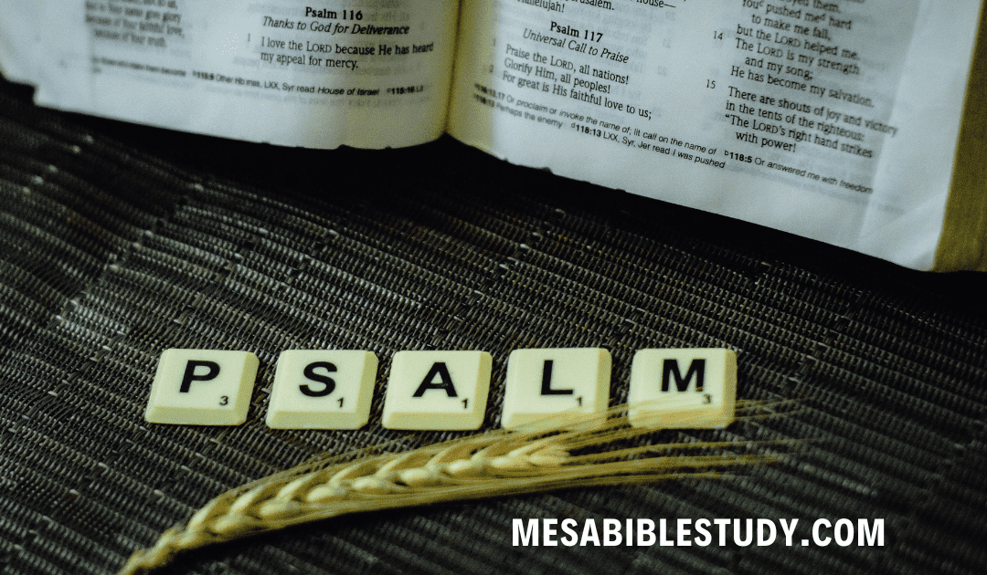 Finding Hope in Affliction: The Encouragement of Psalm 119:50