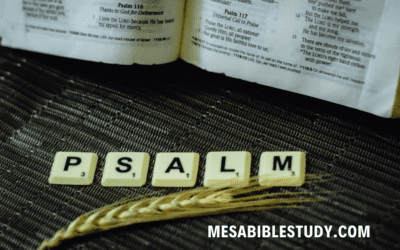 Finding Hope in Affliction: The Encouragement of Psalm 119:50