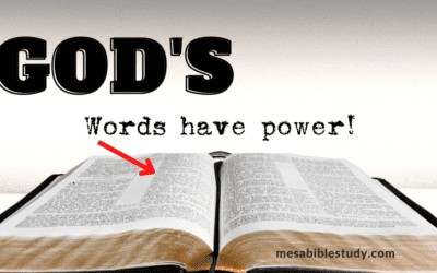 The Power of God’s Word in Our Daily Lives: How the Bible Transforms Us