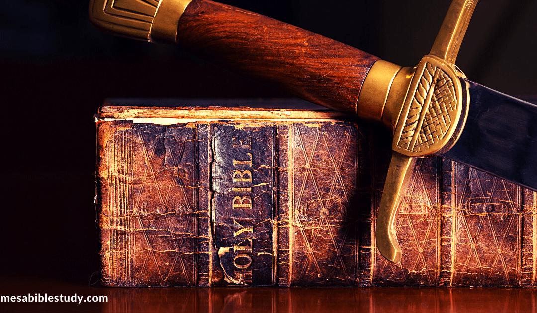 The Importance of Bible Study: 10 Encouraging Verses