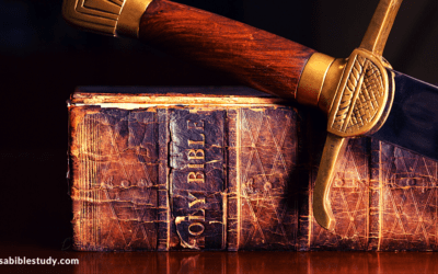 The Importance of Bible Study: 10 Encouraging Verses