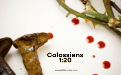 Peace with God through the Shed Blood of Christ