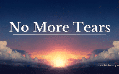 No More Tears: Finding Comfort in Revelation 21:4