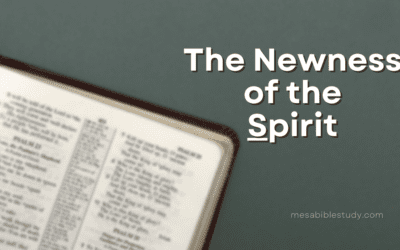 The Newness of the Spirit – The Power of Grace over Law