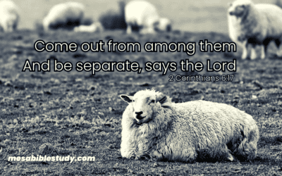 The Importance of Separating Ourselves from the World System