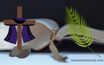 The King’s Arrival: Prophecy Fulfilled “the Triumphal Entry”