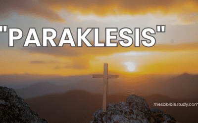 Consolation in Christ – Unity of the Saints