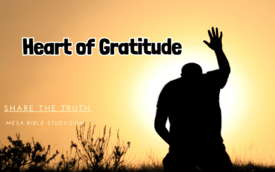 Heart of Gratitude “Be Thankful for Everything”