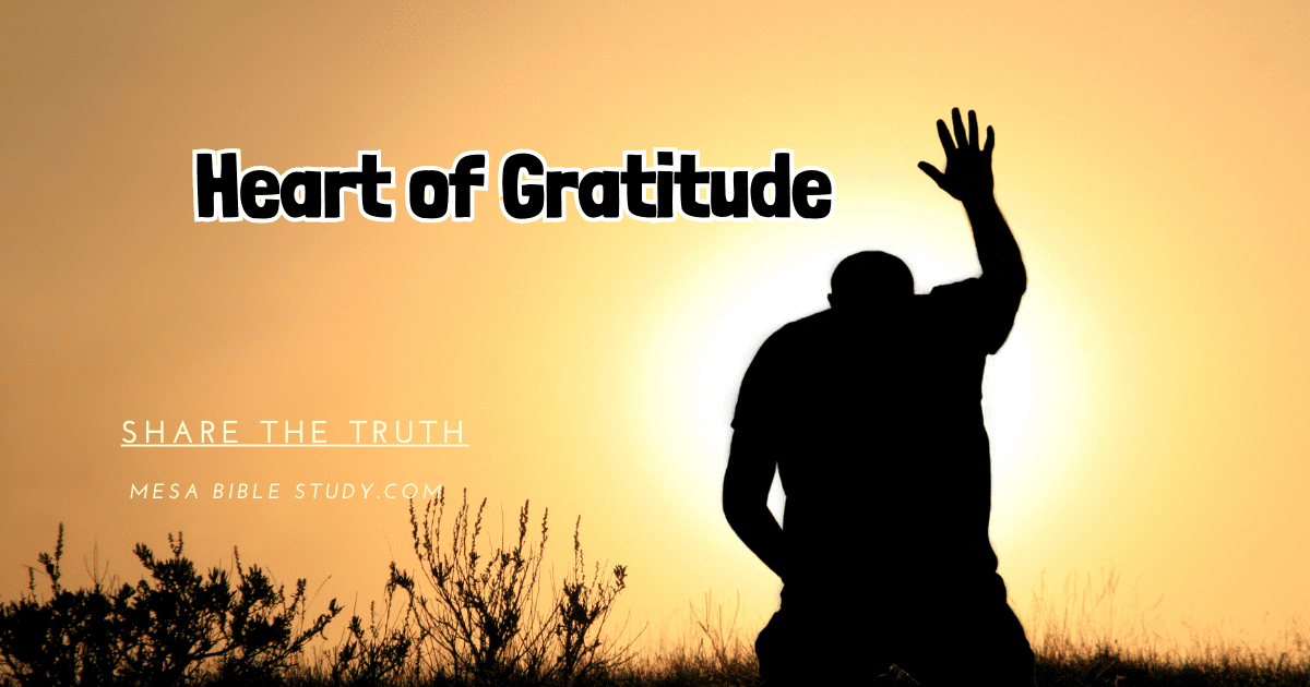 Heart of Gratitude “Be Thankful for Everything”