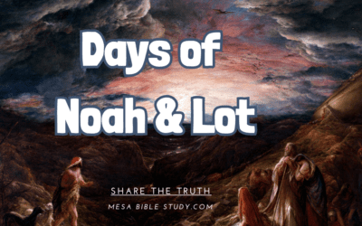 A World in Chaos: Echoes of Sodom and Noah’s Time