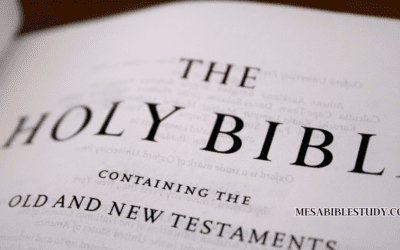 True Power in Weakness: Trusting in God’s Wisdom