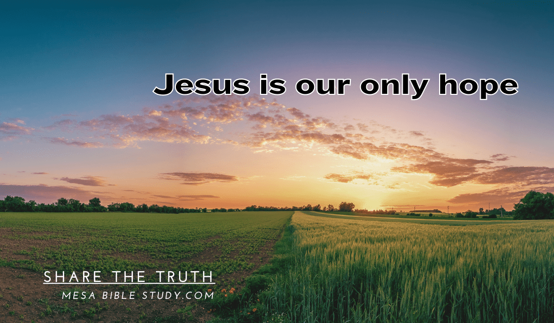 Our Unshakable Hope in Christ: A Daily Source of Encouragement