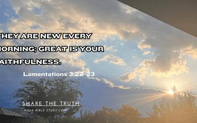 Renewed Every Morning: Finding Strength in God’s Daily Mercies
