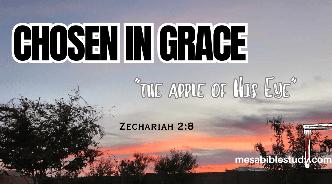 Chosen in Grace – Zechariah 2:8 “the Apple of His Eye”