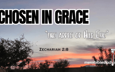 Chosen in Grace – Zechariah 2:8 “the Apple of His Eye”