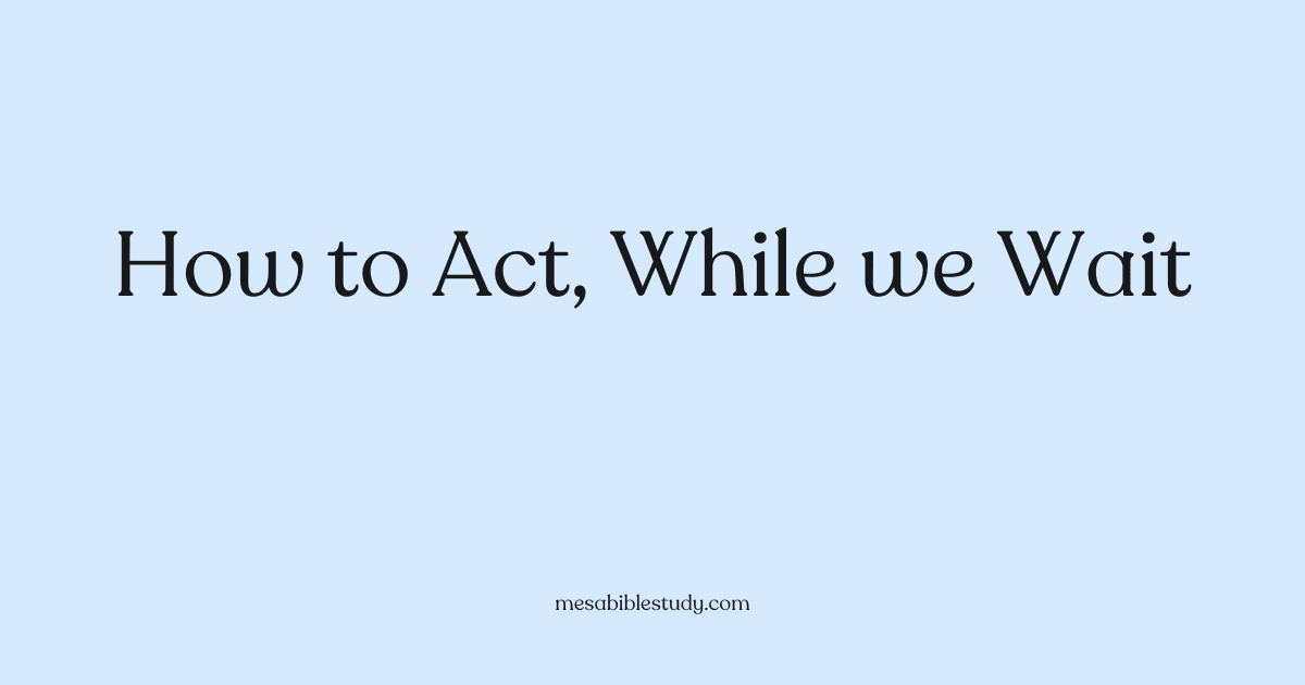 How to Act, While we Wait