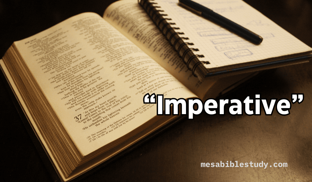 The Imperative of Daily Study in God’s Word