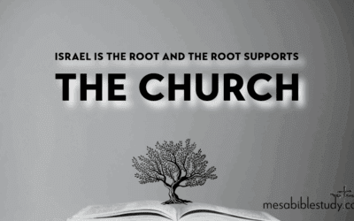We Are Partakers of the Root, Not Replacers of the Root