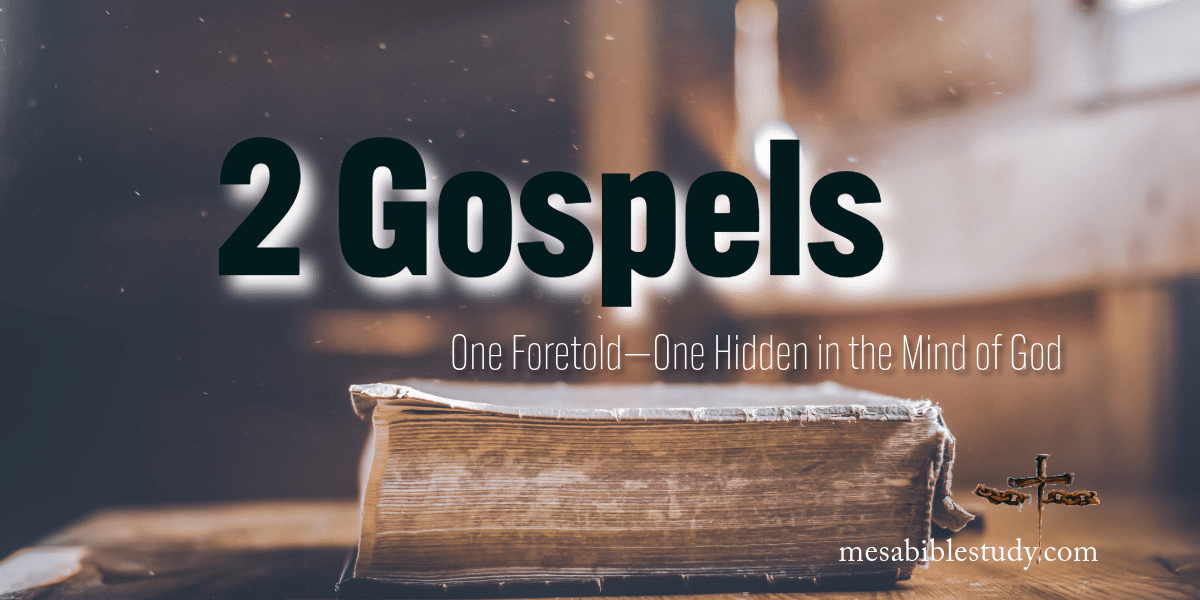 2 gospels one foretold one hidden