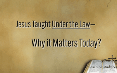 Everything Jesus Said and Did Was Under the Law
