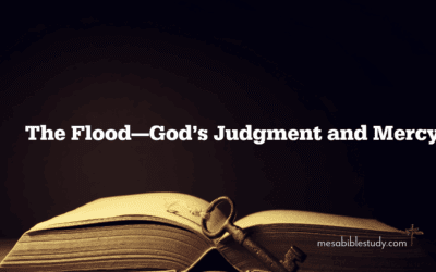 The Flood—God’s Judgment and Mercy Part 3
