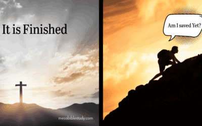 📖 Post 4: The Danger of Fruit-Based Assurance