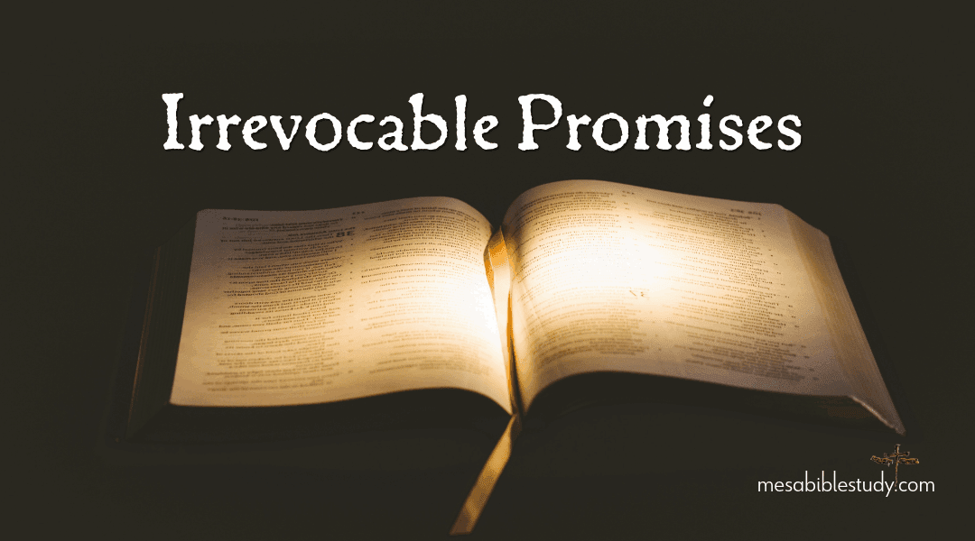 Post 1: Introduction – The Faithfulness of God to Israel