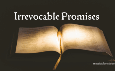 Post 1: Introduction – The Faithfulness of God to Israel