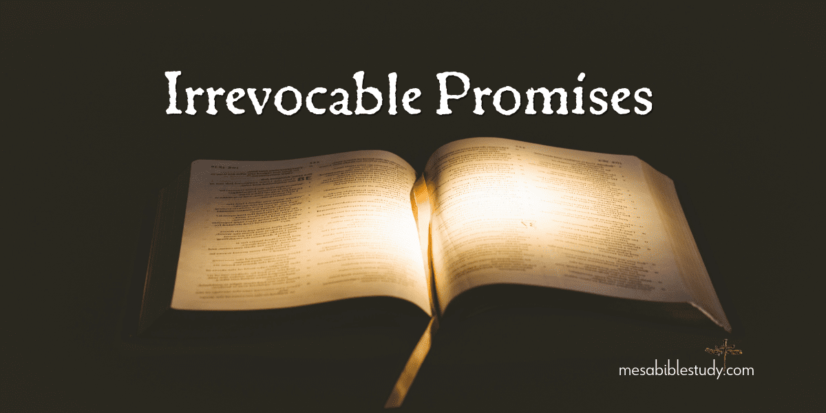 Irrevocable promises