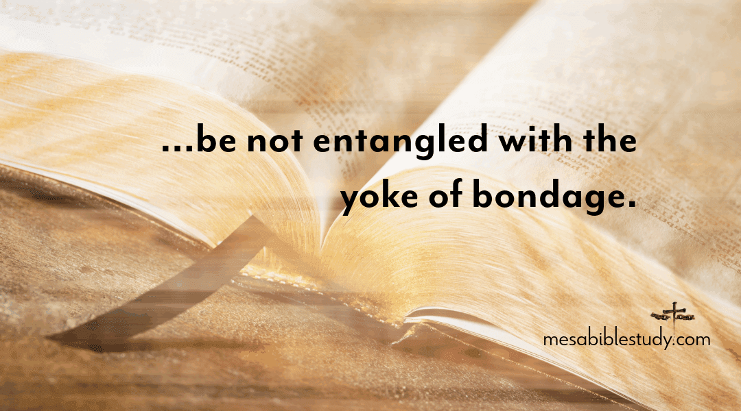 Stand Fast in Freedom: Don’t Go Back to Legalism