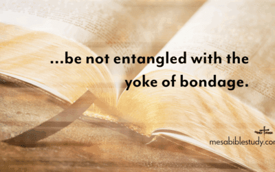 Stand Fast in Freedom: Don’t Go Back to Legalism