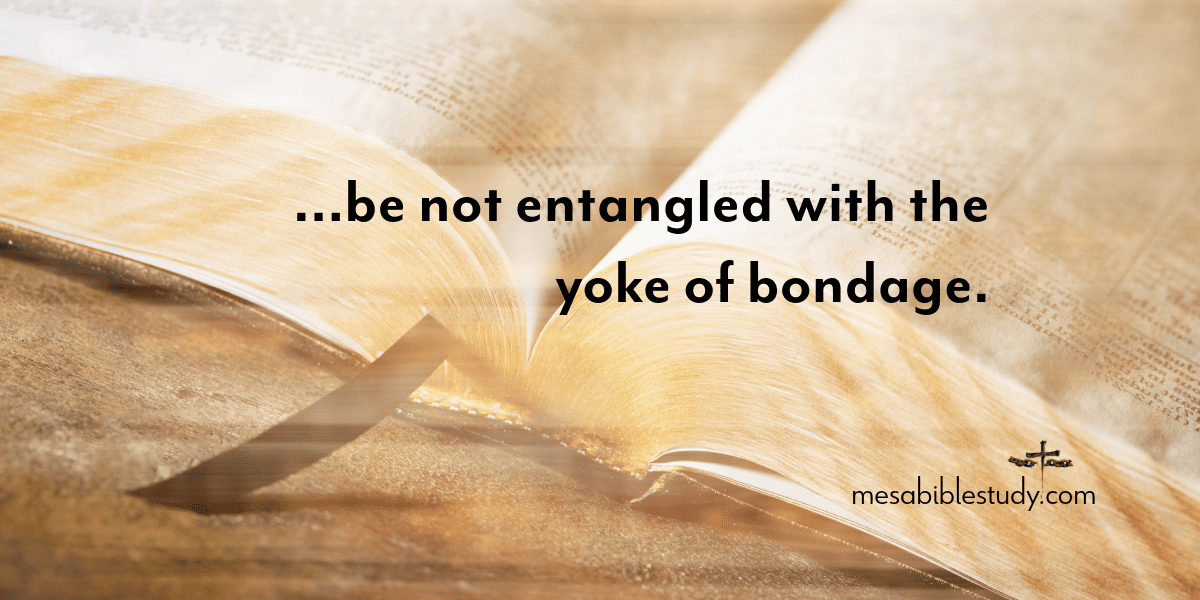 don’t go back under the law