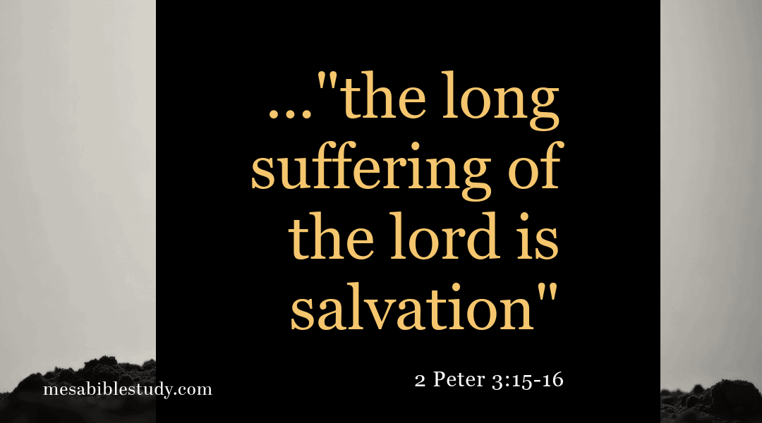 When Peter Pointed to Paul: The Undeniable Authority of Grace