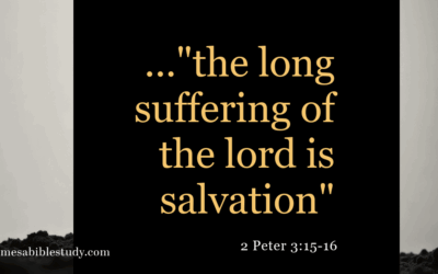 When Peter Pointed to Paul: The Undeniable Authority of Grace