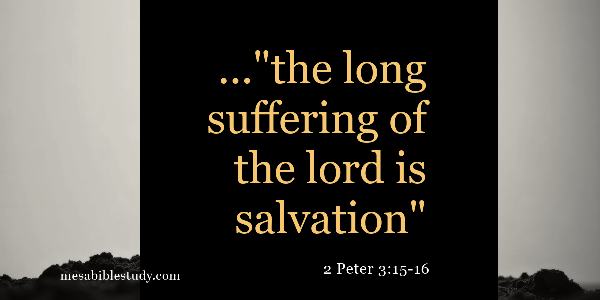 The longsuffering of our Lord is salvation