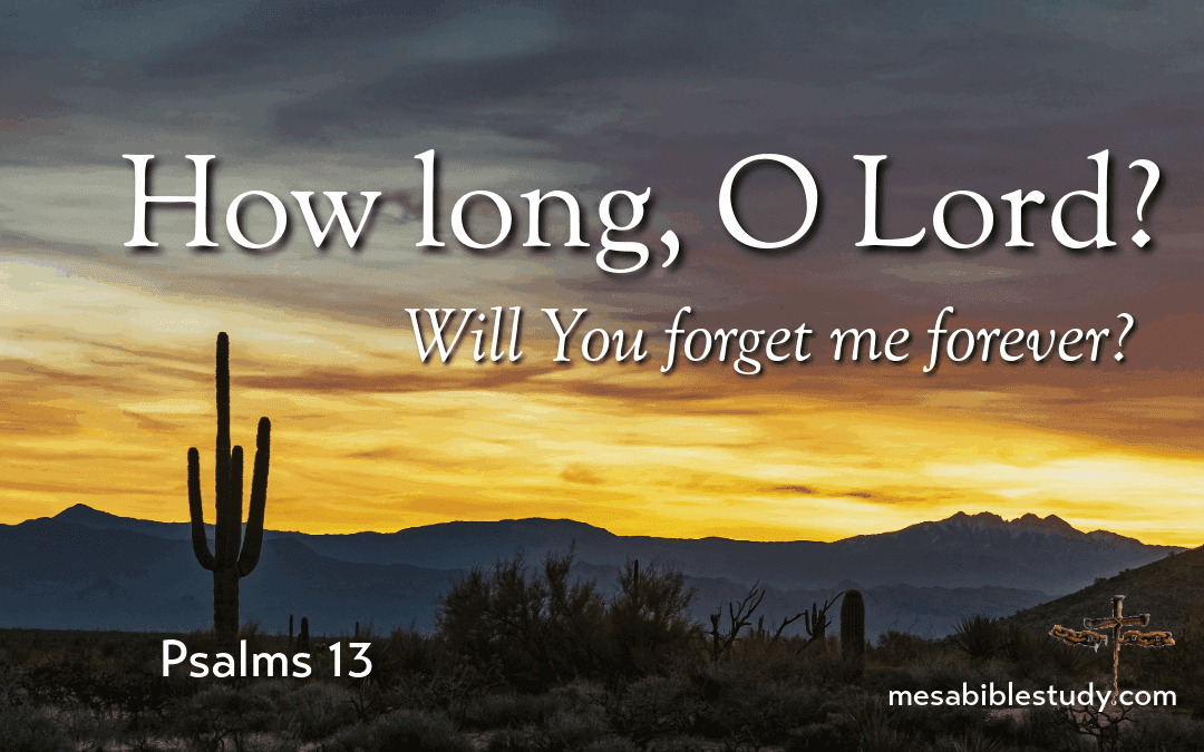 📖 DEVOTIONAL 9: WHEN GOD FEELS DISTANT ‘Psalms 13’