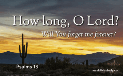 📖 DEVOTIONAL 9: WHEN GOD FEELS DISTANT ‘Psalms 13’