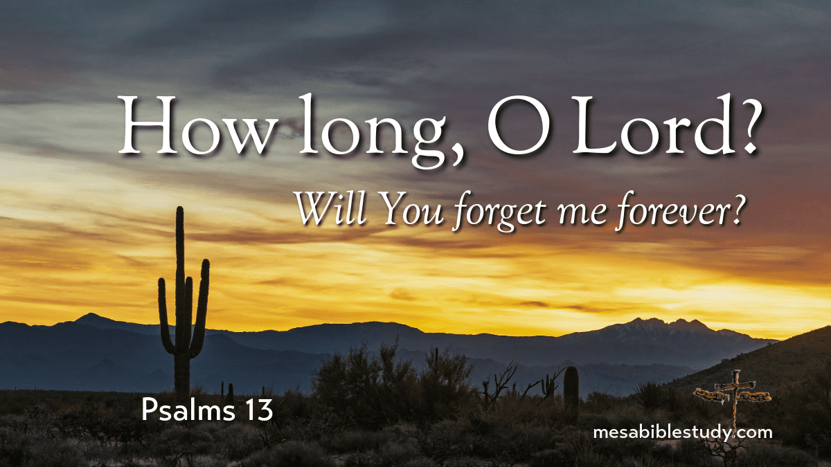 How long, O Lord?